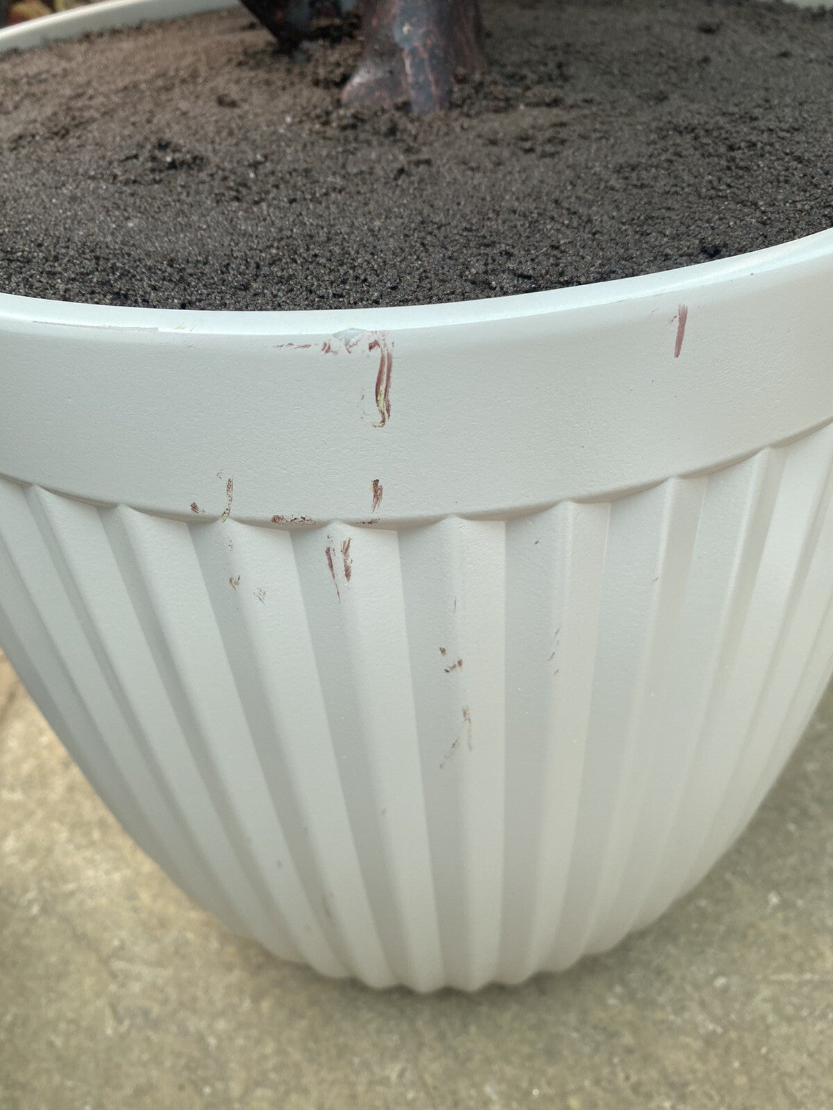 Artificial 6.5ft Fiddle Fig Tree in Planter *ex-display*