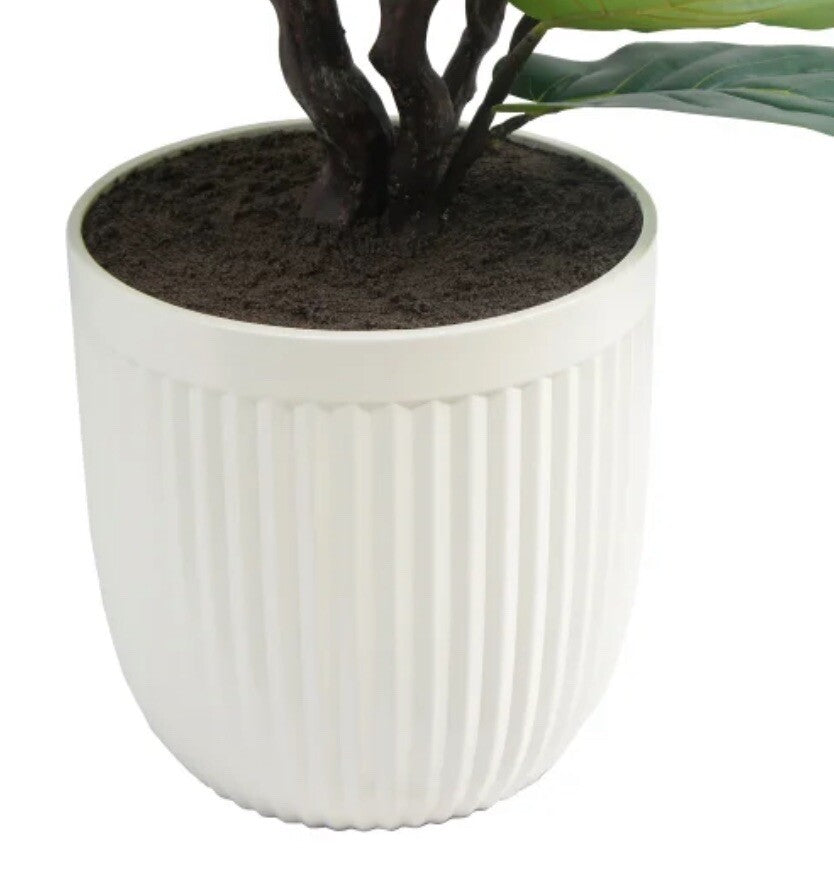 Artificial 6.5ft Fiddle Fig Tree in Planter *ex-display*