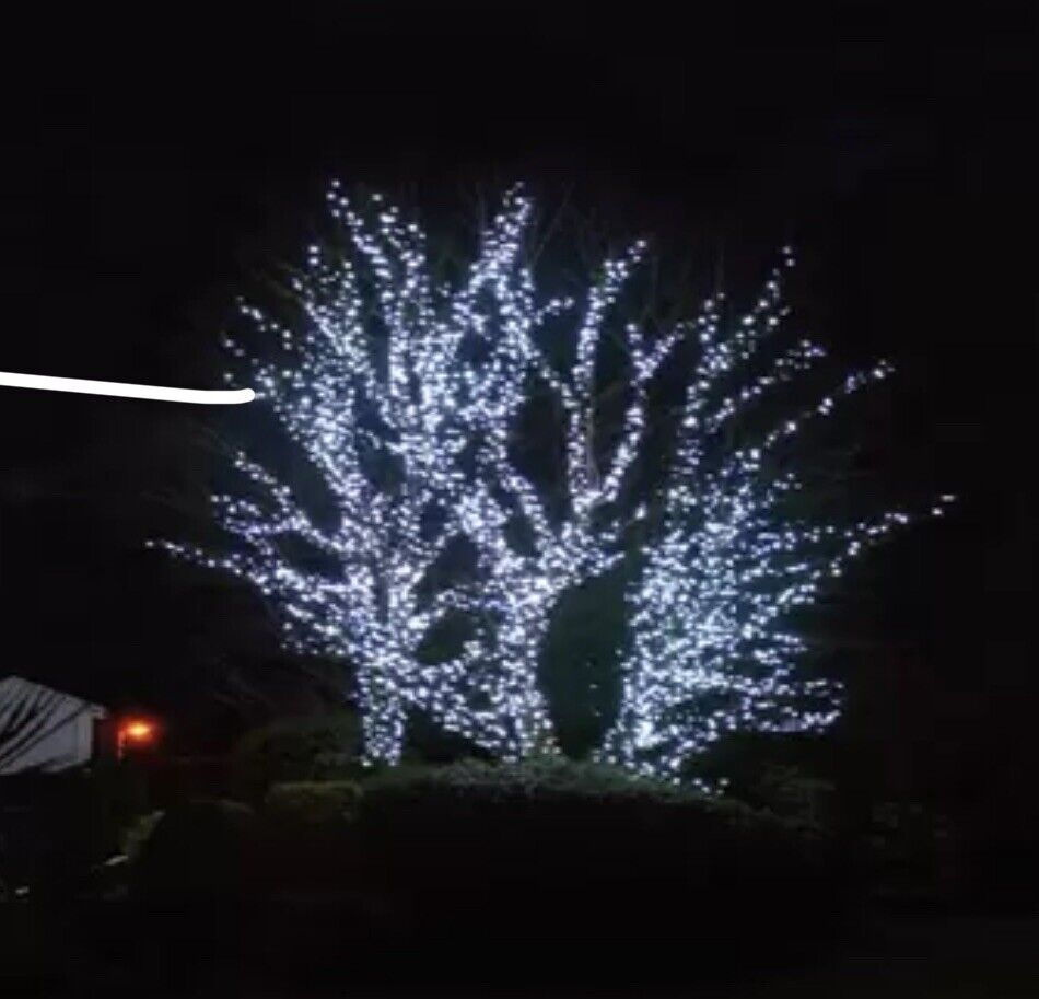 Lights4You 66ft (20m) 120 LED Ice White Outdoor String Lights