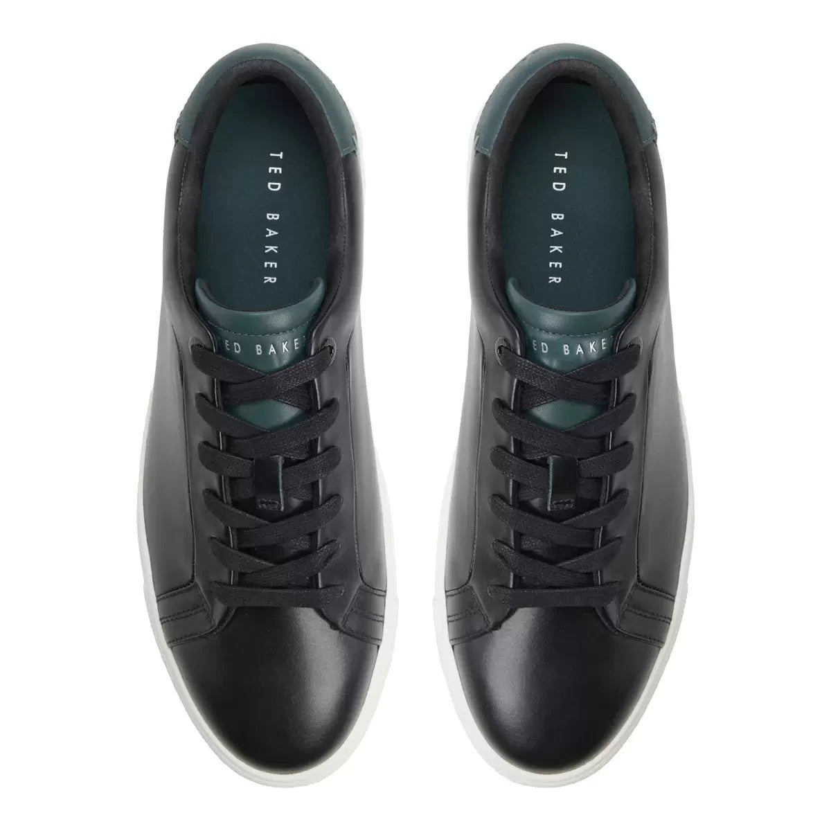 Ted Baker Men's Robert Trainer in Black UK 7 UK 8