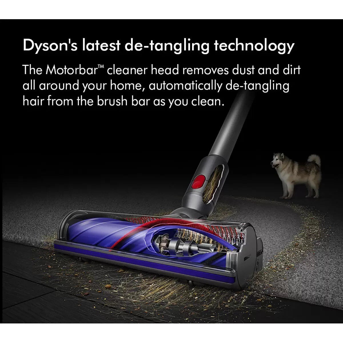 Dyson Cyclone V10™ Absolute Cordless Stick Vacuum Cleaner Brand Used Perfect