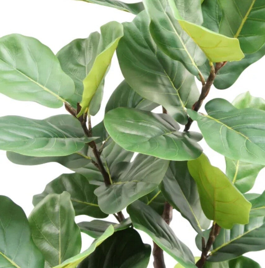 Artificial 6.5ft Fiddle Fig Tree in Planter *ex-display*