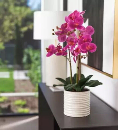 Artificial Orchid in Ribbed Ceramic Pot, Pink