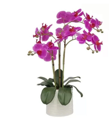 Artificial Orchid in Ribbed Ceramic Pot, Pink