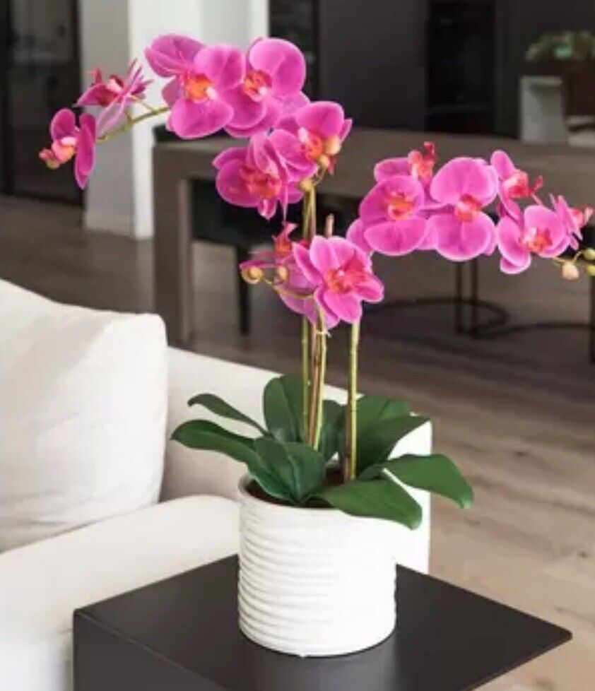 Artificial Orchid in Ribbed Ceramic Pot, Pink