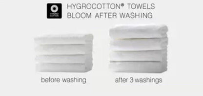 Grandeur 100% Hygro Cotton Bath Sheets, Pack of 2 in White