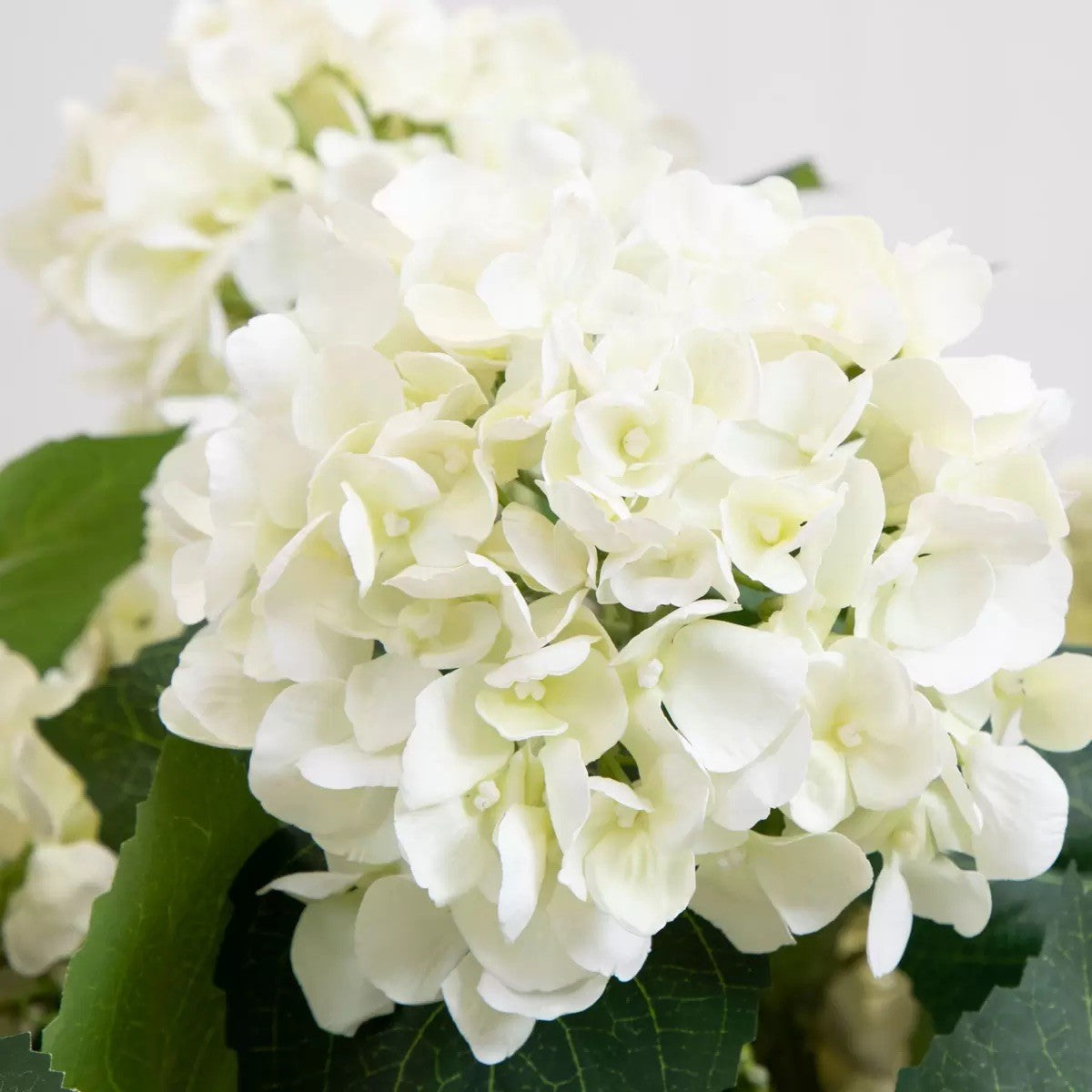Artificial Hydrangea in Planter, New + Free Delivery