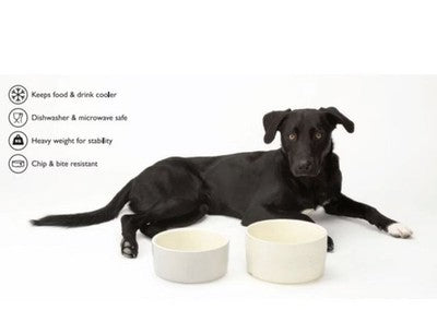Scruffs Icon 2 Piece Dog Food & Water Bowl Set - 19cm | 10cm - Cream