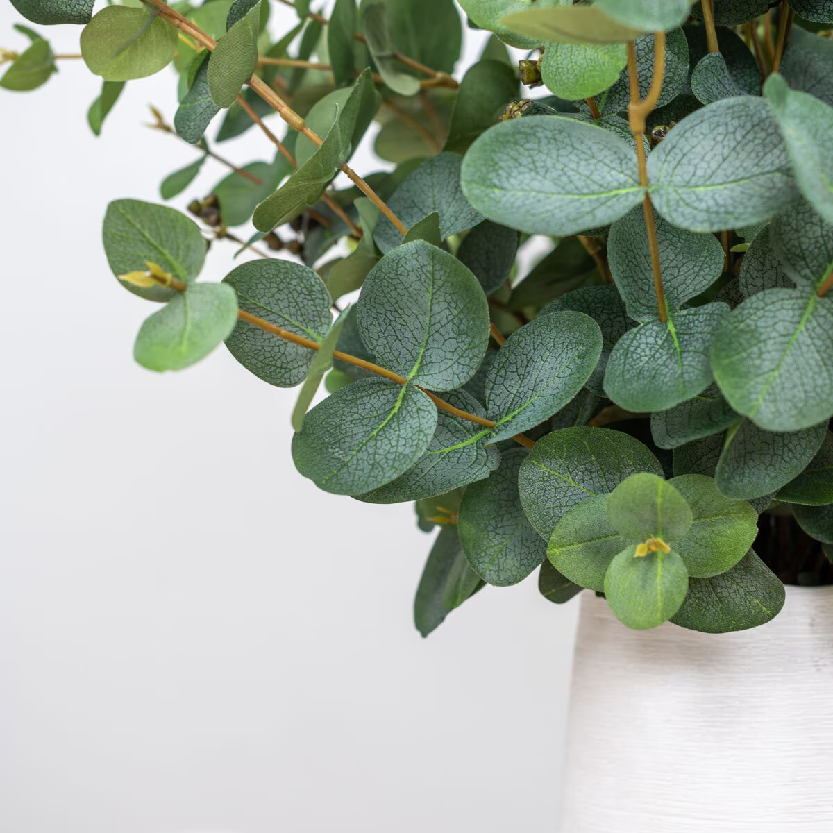 Artificial Eucalyptus in White Ceramic Vase