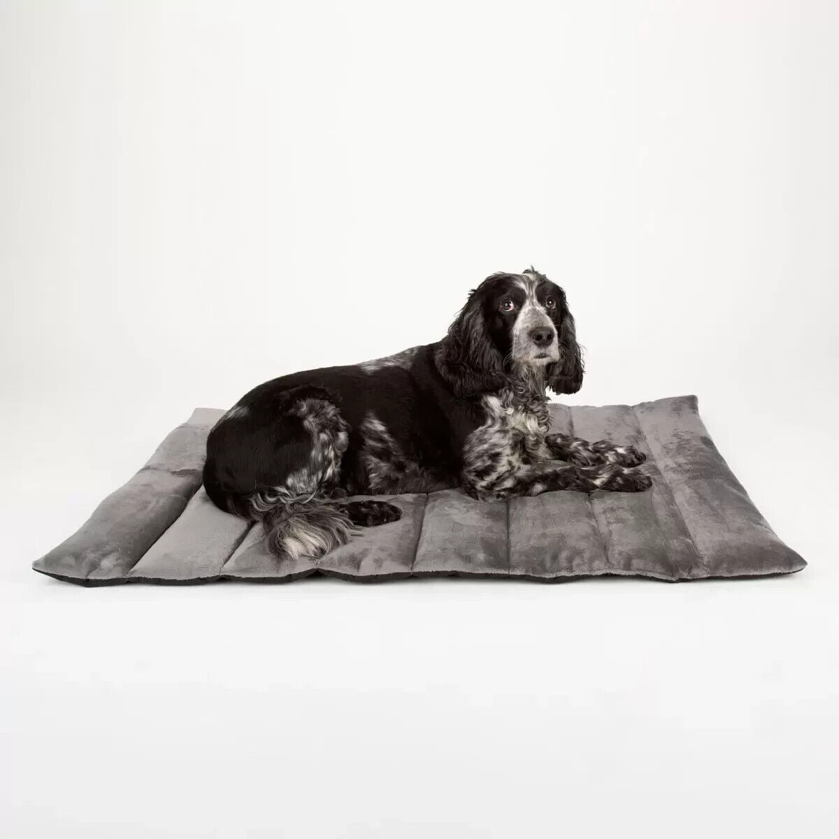 NEW Scruffs Reversible Roll Up Travel Bed, 100cm x 70cm in Grey